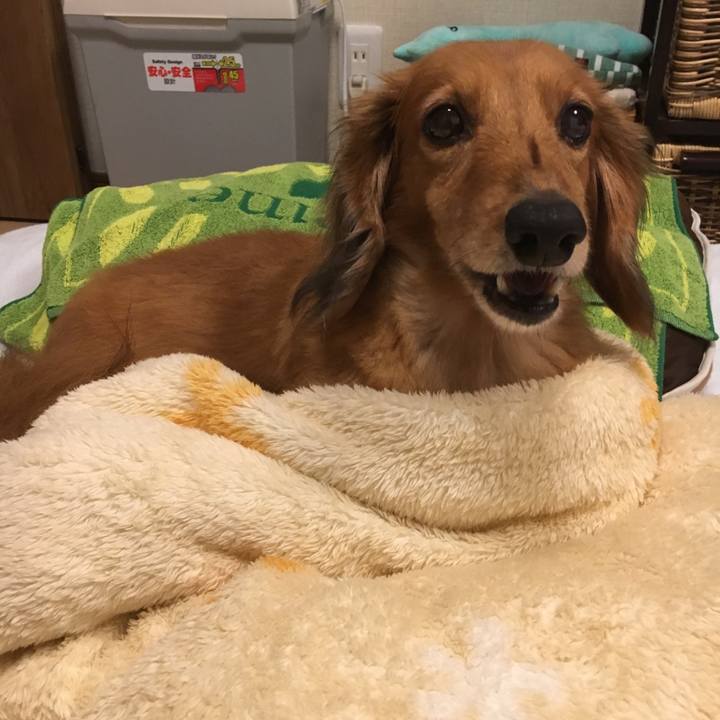 6c7b3ce2 3c70 450f 8de9 25b48c36aac0 1538144891219