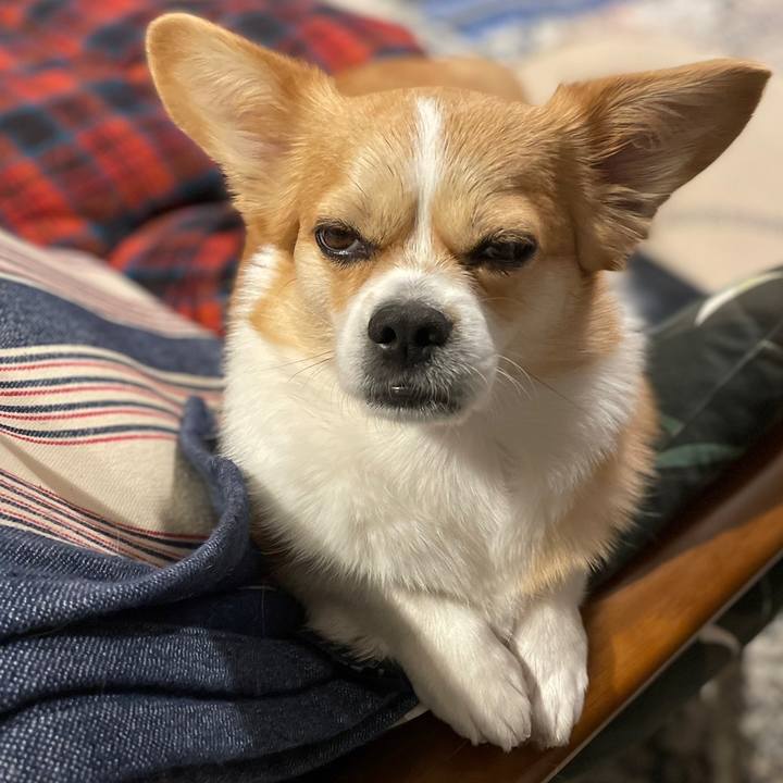 6c7b3f28 5c06 4253 a727 db5e07abdc5c 1652187238886