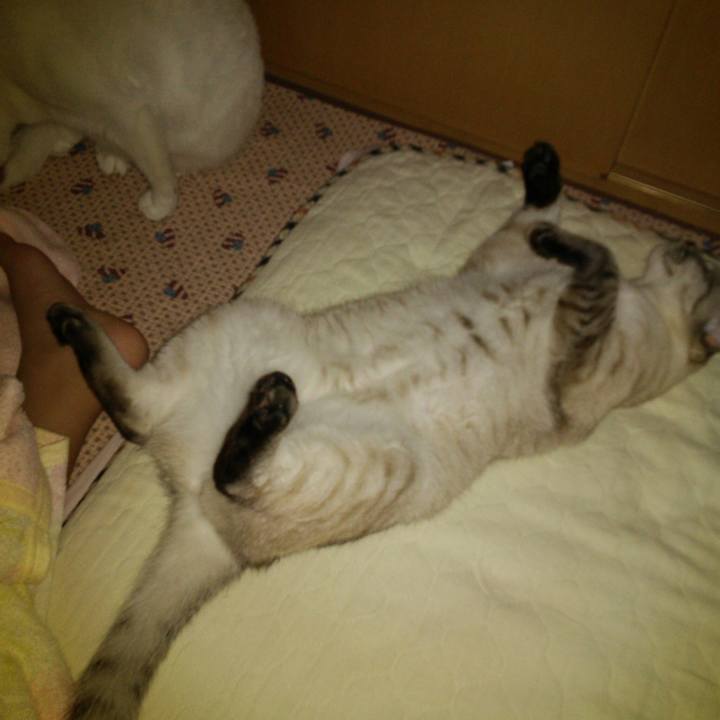 6c7b7efc cb6e 4c5a a87d 08bc9eb44306 1527953742592