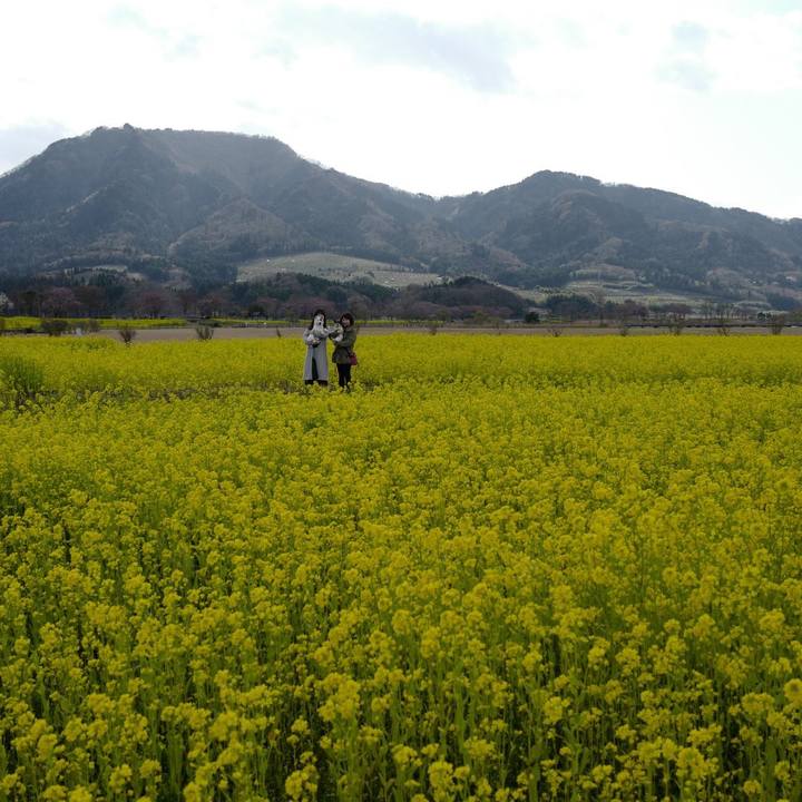 6c7bc279 081f 416a bb7f cc477e18fe35 1554872290194