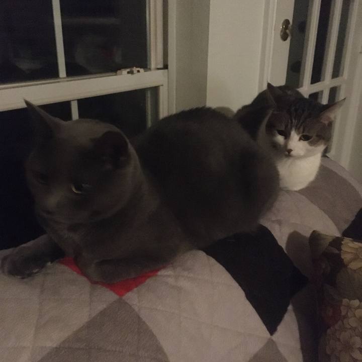 6c7bed5e 0ff8 417e 904b 10855c538e87 1645498370311