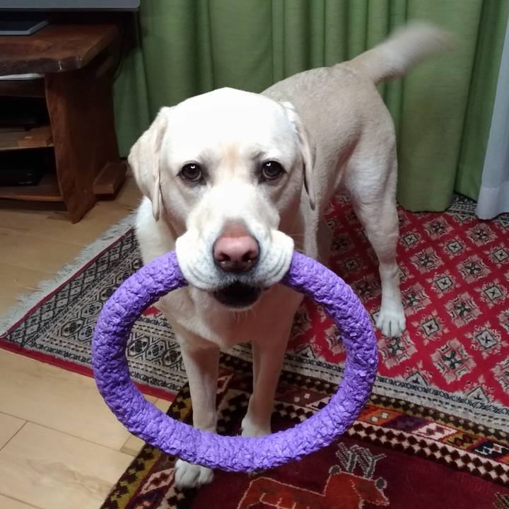 6c7bf3de 93e4 4785 b003 521c6e87f0ac 1574836607798