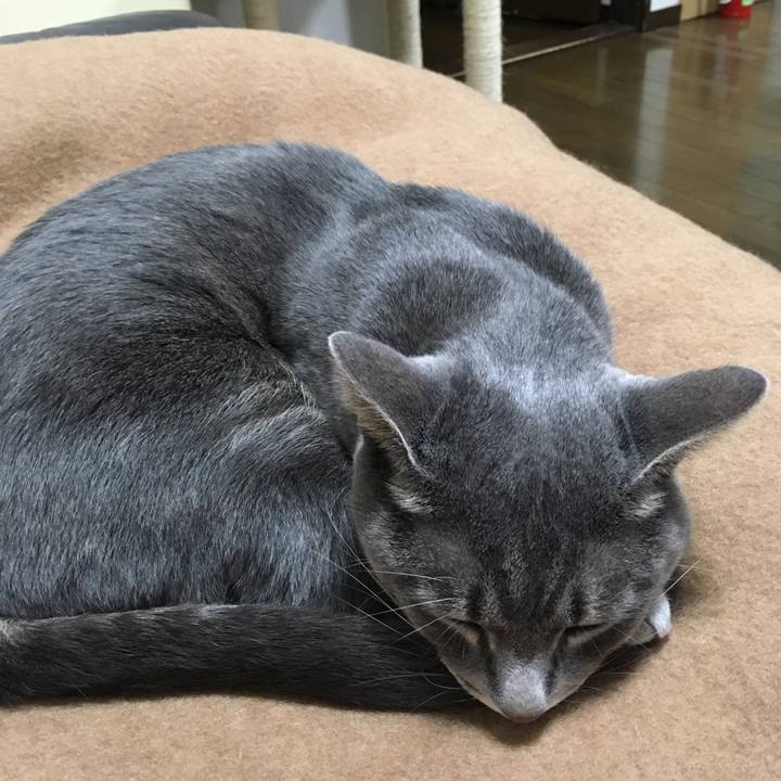 6c7c147d aa7f 493a 8f0e 16f6dd34603d 1569132619276