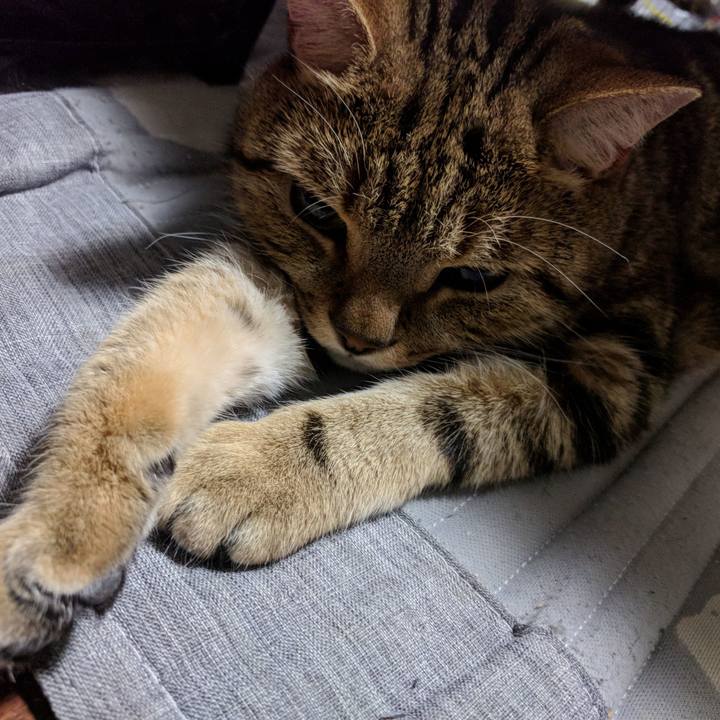 6c7c3bdf 3008 4b92 a14e 41c10d089c0a 1540460354061