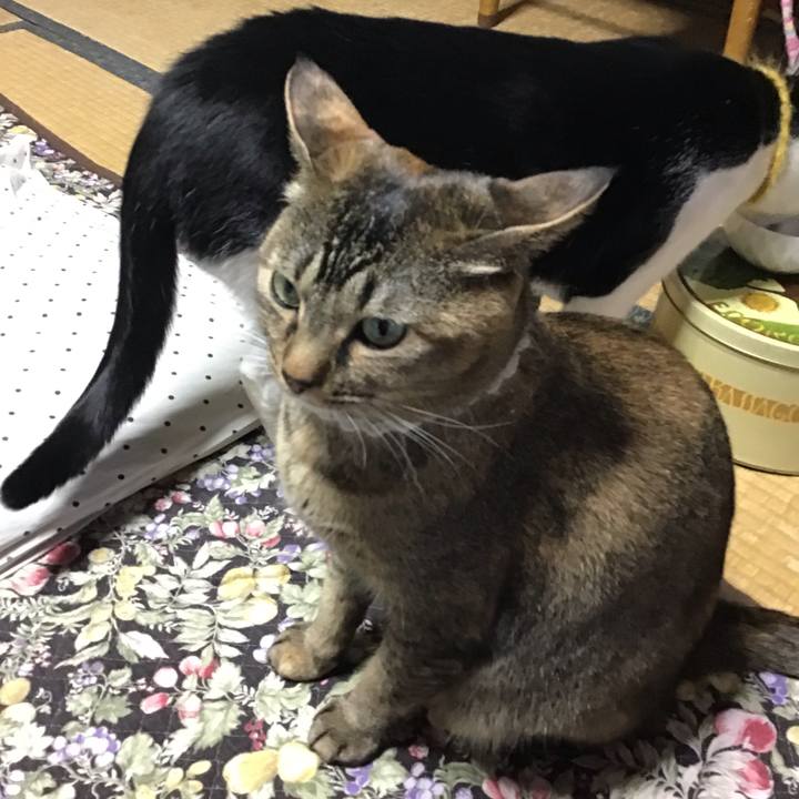 6c7c3e82 cecc 47c4 95a0 3c7864661379 1648976503697