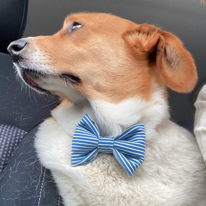 6c7c8624 5ab3 4986 84ed c2fba8e95ccb 1685923869419