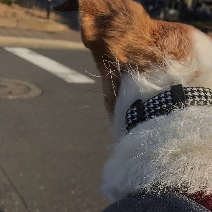 6c7cba4e 61e9 4b7d 84ff b3ae6cd5f696 1580283014662