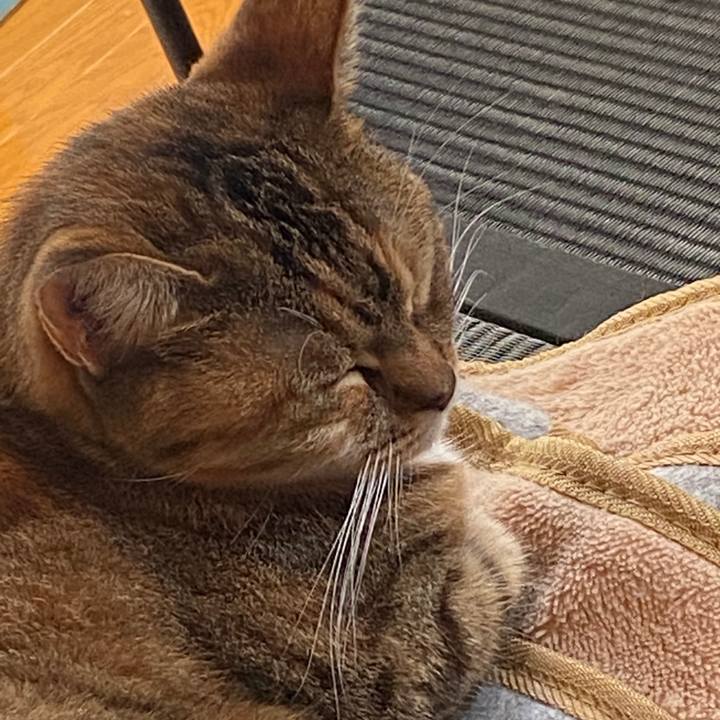 6c7cbb95 c70f 4061 a3d5 31e701f1481c 1578625052815