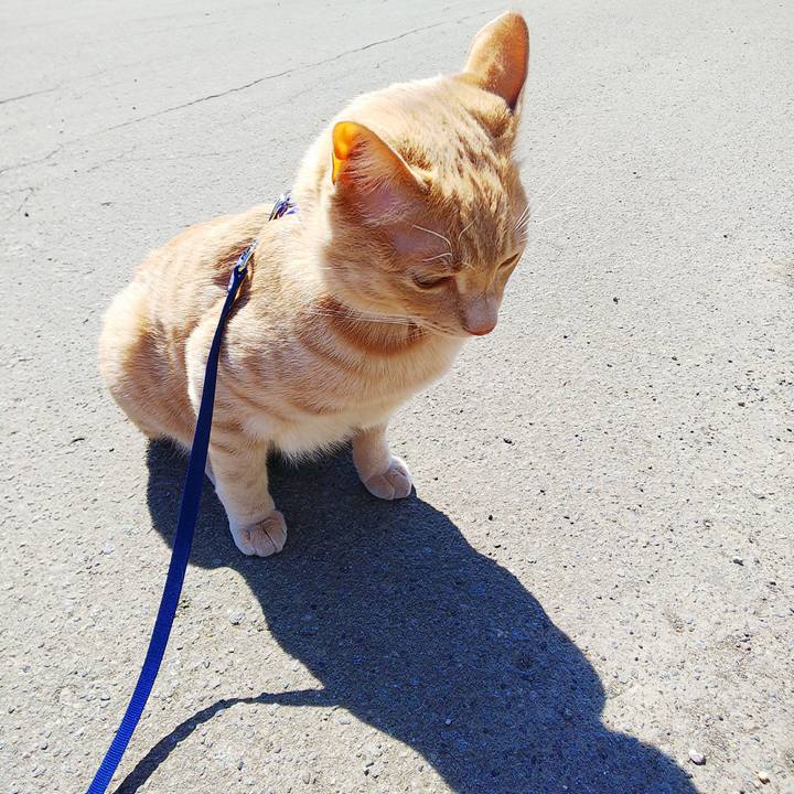 6c7cc598 bd89 4d10 998e 60a9652900c2 1555124150768