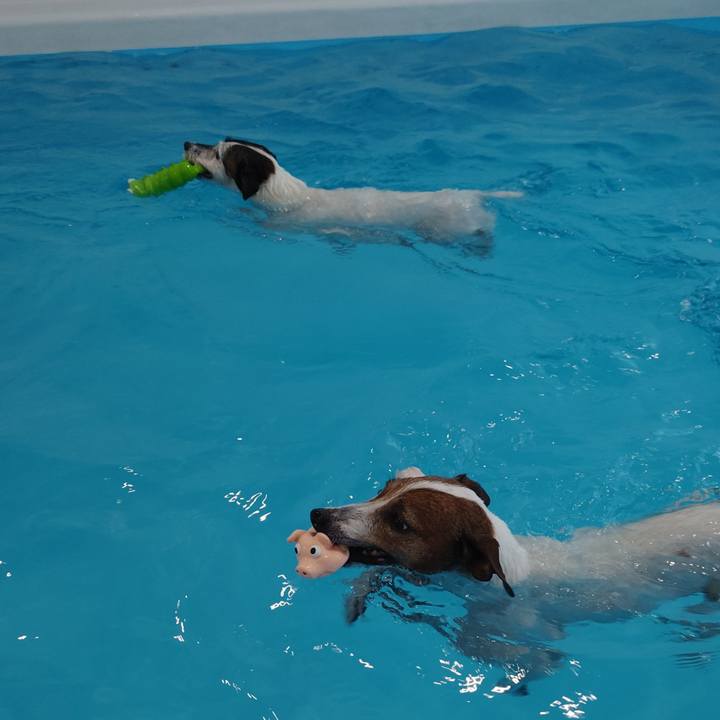 6c7cc5bd abf3 4a23 9193 d20629d1aac0 1757214536790