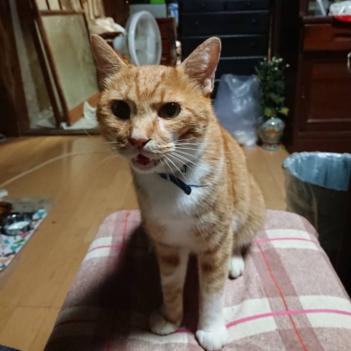 6c7cfd23 e1ec 4d37 84af 0900d30a287c 1599423044287