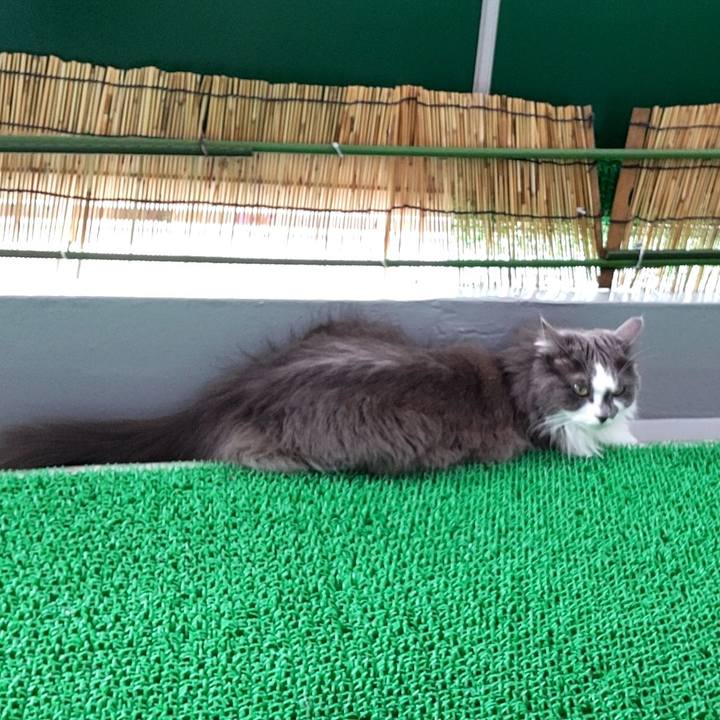 6c7d2142 eabd 4165 bee5 ffa96a6660ac 1626414378670