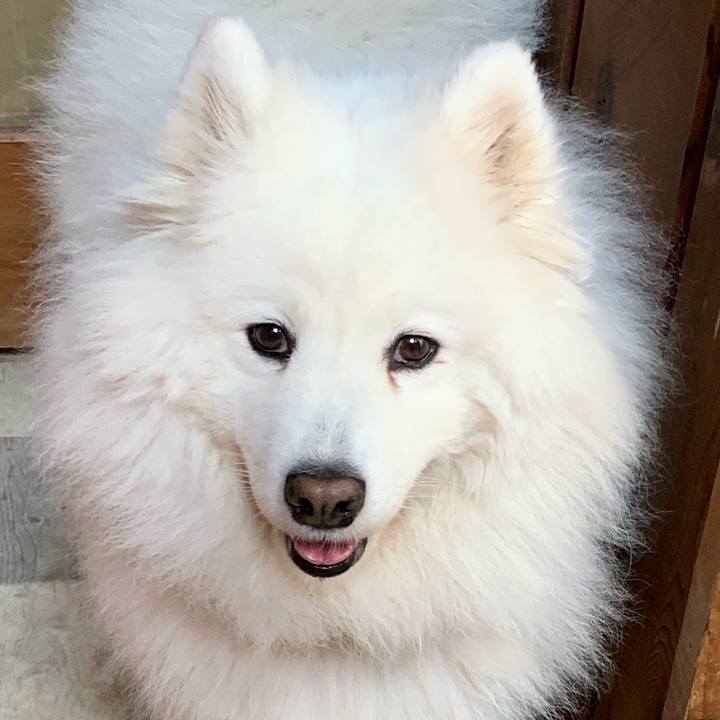 6c7d36fd 9772 493b afdc 7ddd3b8cb528 1620183040666