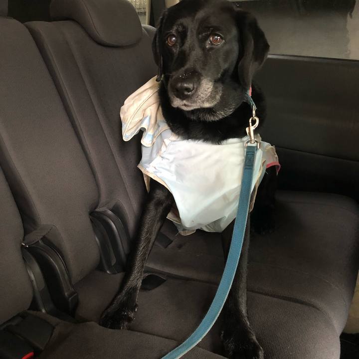 6c7d61d0 11ea 4b48 af61 8badd0dfc9e8 1537493609936