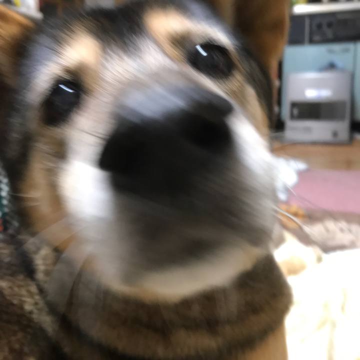 6c7d9db1 7d92 4edf 8483 b4c06c3dabdf 1520456079468