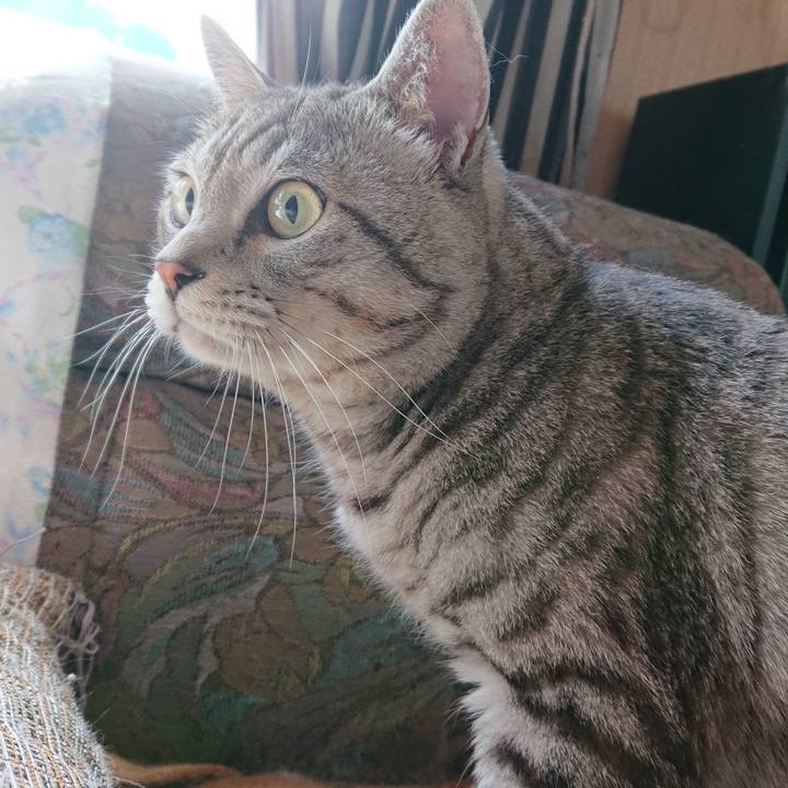 6c7daf04 0bd5 4ff9 8fe1 b1fe2b6eab22 1556587092232