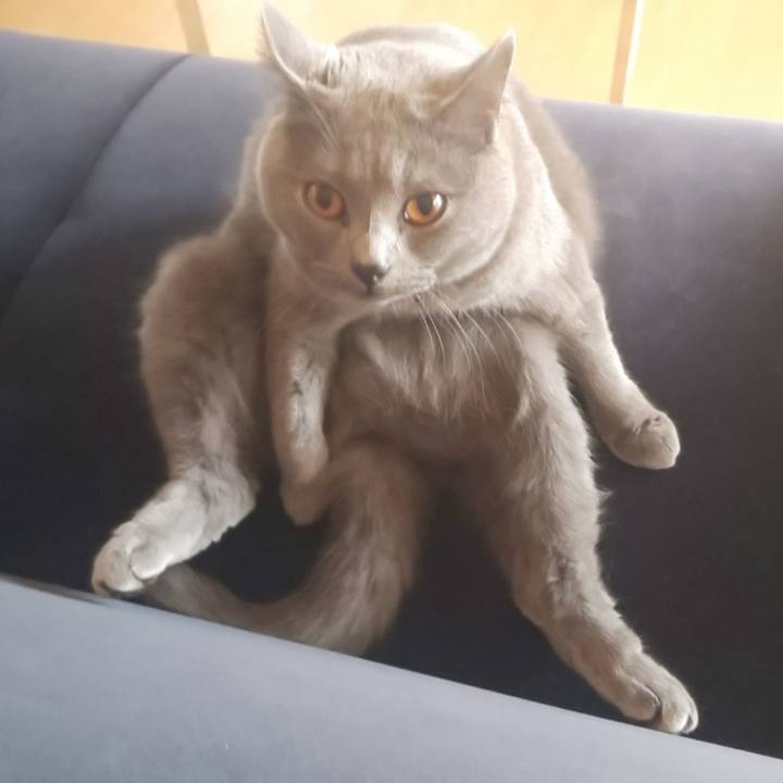 6c7dd9e6 0d49 4c37 a523 f24b39101766 1541739529390