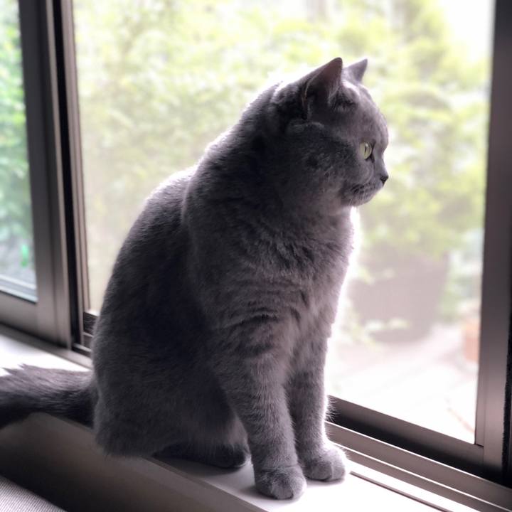 6c7de4b7 29c6 433b 9597 d9ef8ef25bc9 1525475918344