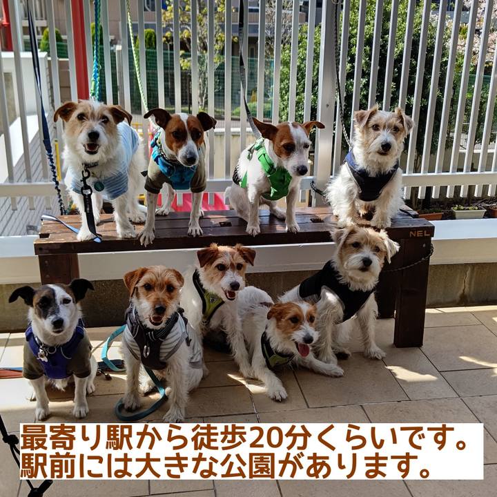 6c7de8cd d7e5 4f70 a8a1 7798c9be3084 1621841469129