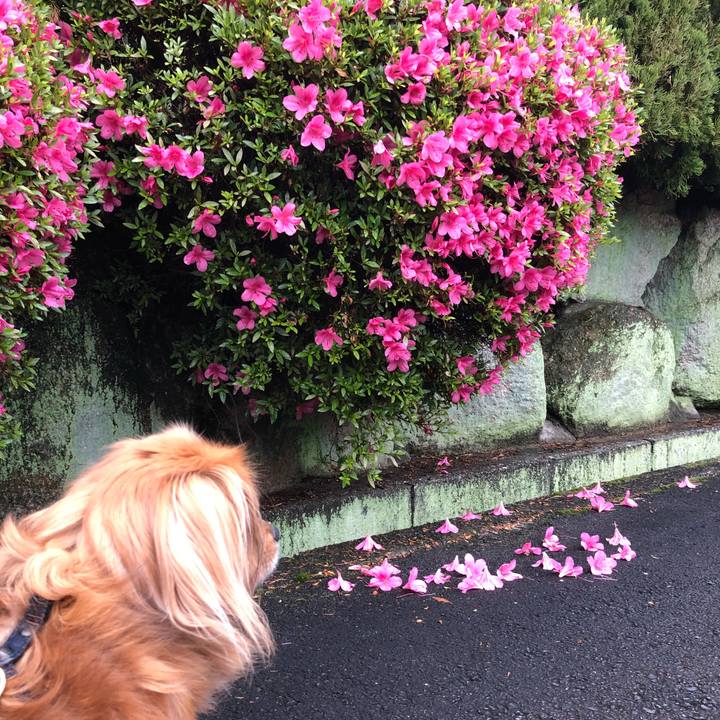 6c7e0e96 bedc 4a18 a693 e57abde140a0 1559079317525