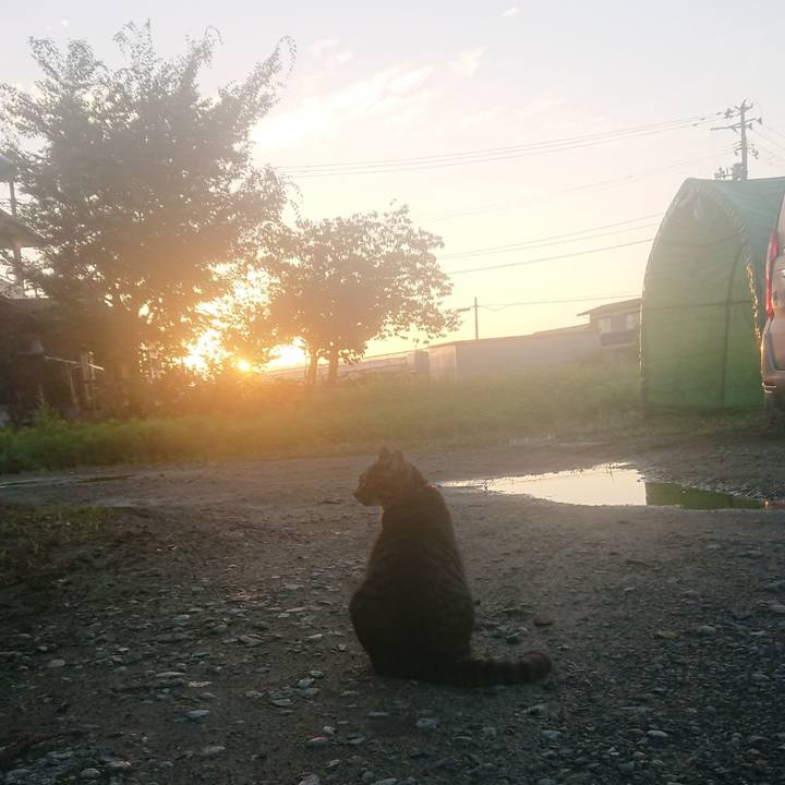 6c7e3ad3 6916 4918 97d5 f5b03e3fcff0 1660856756367