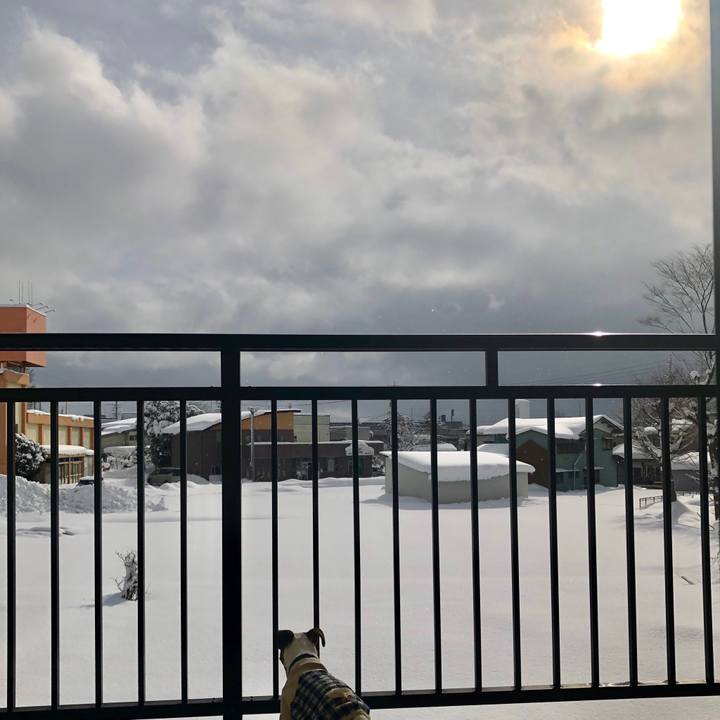 6c7e3e9a 0a29 4ef6 bcf1 e3f0cda7b73b 1546738162547