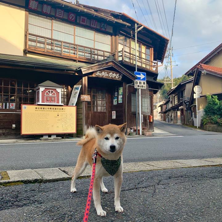 6c7e604d 7549 4142 8c5f a97593901b5a 1676200926697