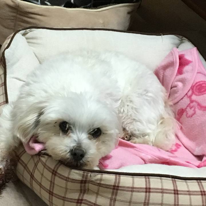 6c7e8512 90c2 48ee a72e c7914c988f54 1648380446510