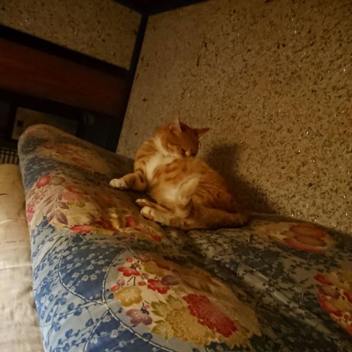 6c7edb99 fedd 4b4a ac08 ccfa56c98621 1601205072086