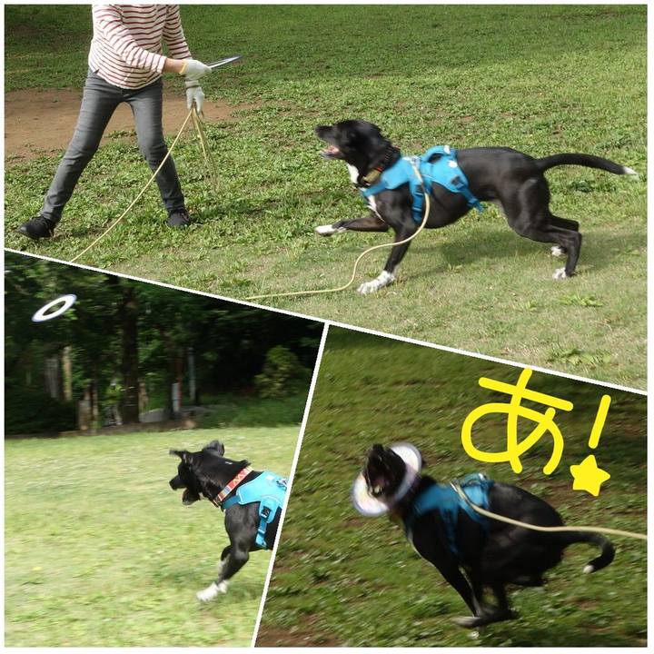 6c7ee2cf 72cc 4069 b3e1 47f28be10415 1620781923835