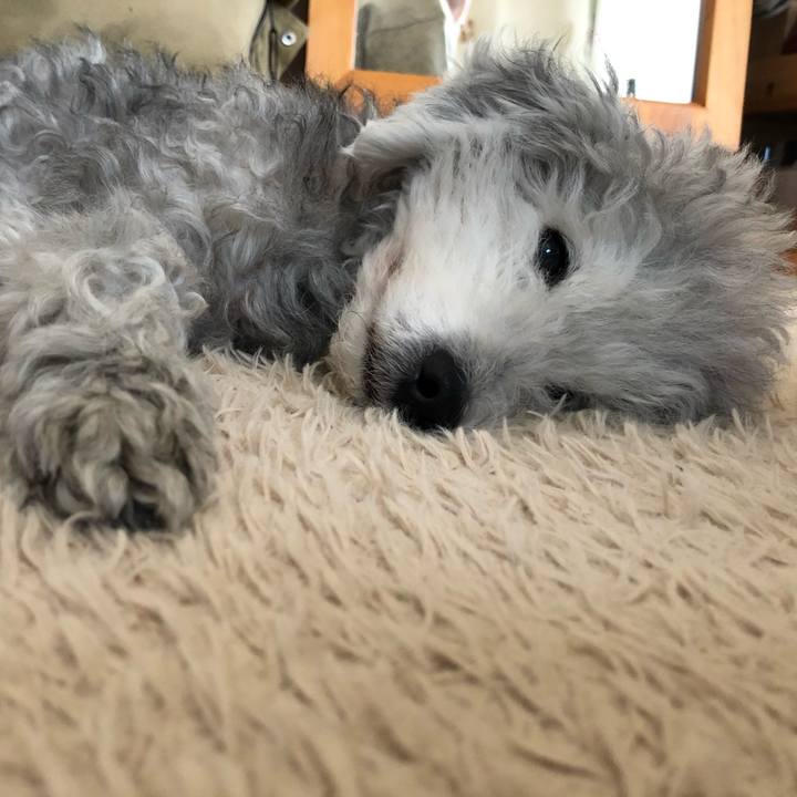 6c7f061a 7d78 44cb 9b5e a7b2cda81f7f 1609475079810