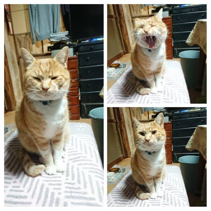 6c7f25b1 0499 4813 96ea 1ca863e67ddb 1607716203839