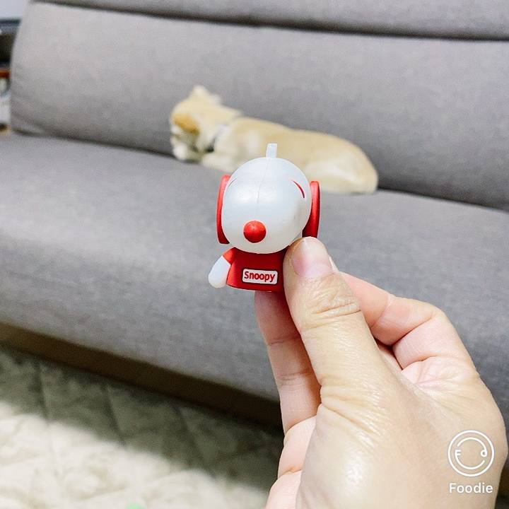 6c7f7948 5746 435a 9574 d7494d6578a9 1607085328559