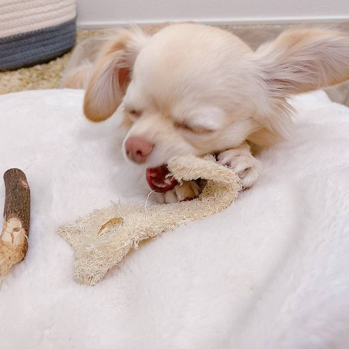 6c7fb80d 534c 4444 8c06 8b490b22b6aa 1615803545366