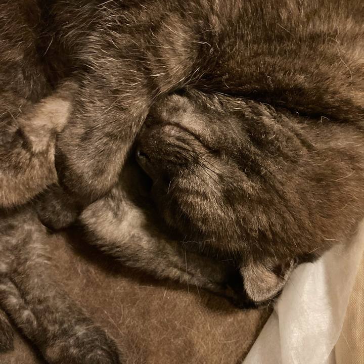 6c7fc618 c5c2 427b b6bf 5d073cdbbd32 1625329071058