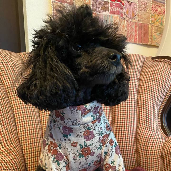 6c7fd65f b8ea 4ca6 8f88 1085dd50ed1a 1634783172831