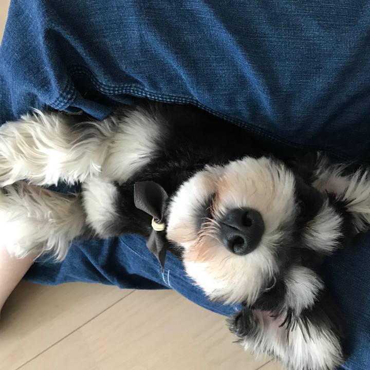 6c7fe6a6 2f04 4e2b a40d b00bd44266c8 1558857717694