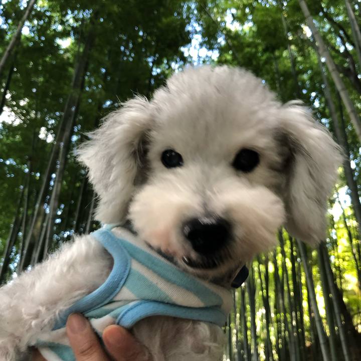 6c7fed02 8606 4ff0 82af 4843c794ddad 1756362588509