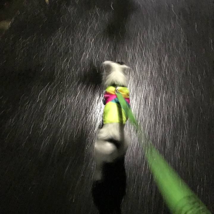 6c7ff15b 7382 4692 88ac 7402fa1b3187 1508157217759