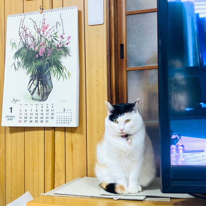 6c806bc6 bad0 49c7 8828 8a75f05ce94e 1737335697936