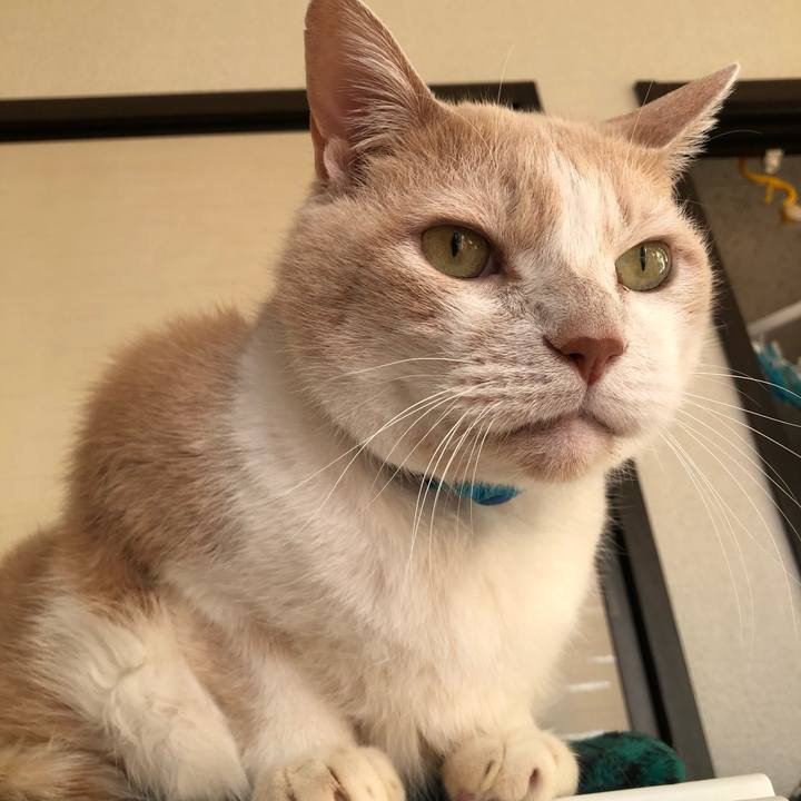 6c809cc9 c7c1 490e 85f1 8dcdcf1c9823 1610923324732