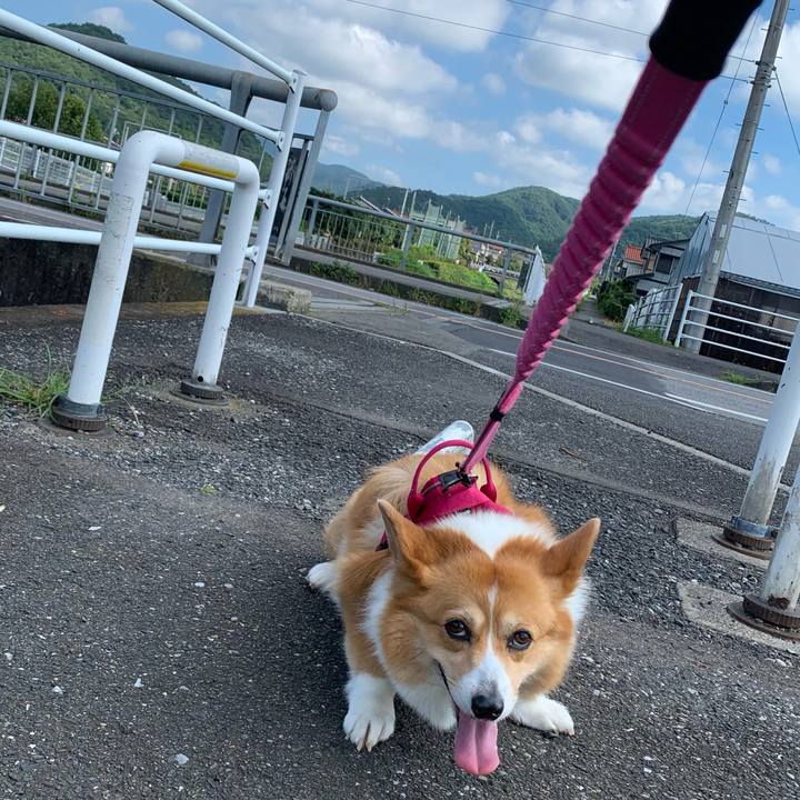 6c80a1da 401f 4ffa 982f df9cca16b1c8 1626479952991