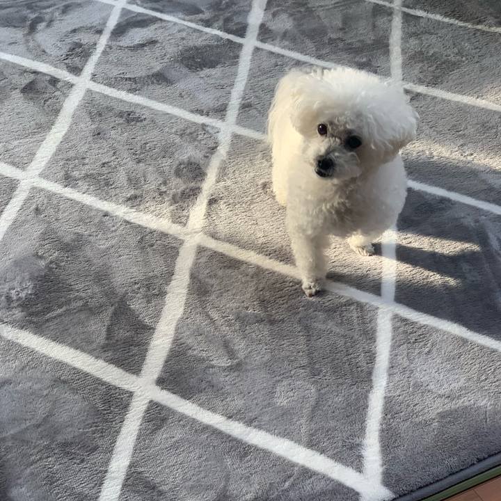 6c80c0d8 7918 46aa bd38 2f160144d62f 1675914425043