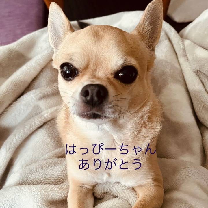 6c80cd53 d691 4d2b 8117 073e2d63eb8d 1640744440683