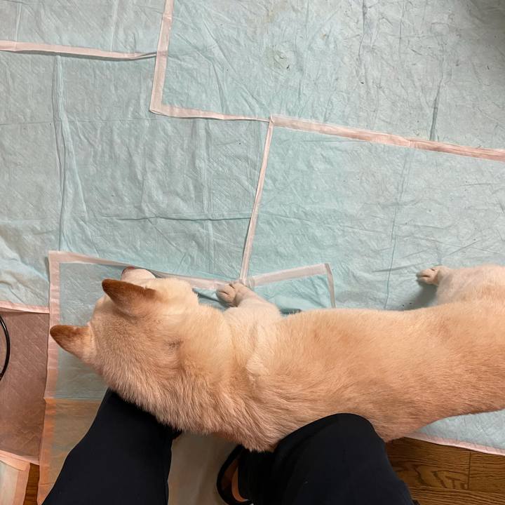 6c80ed94 367c 4bd9 a7bf 9a842e41961d 1634860363619