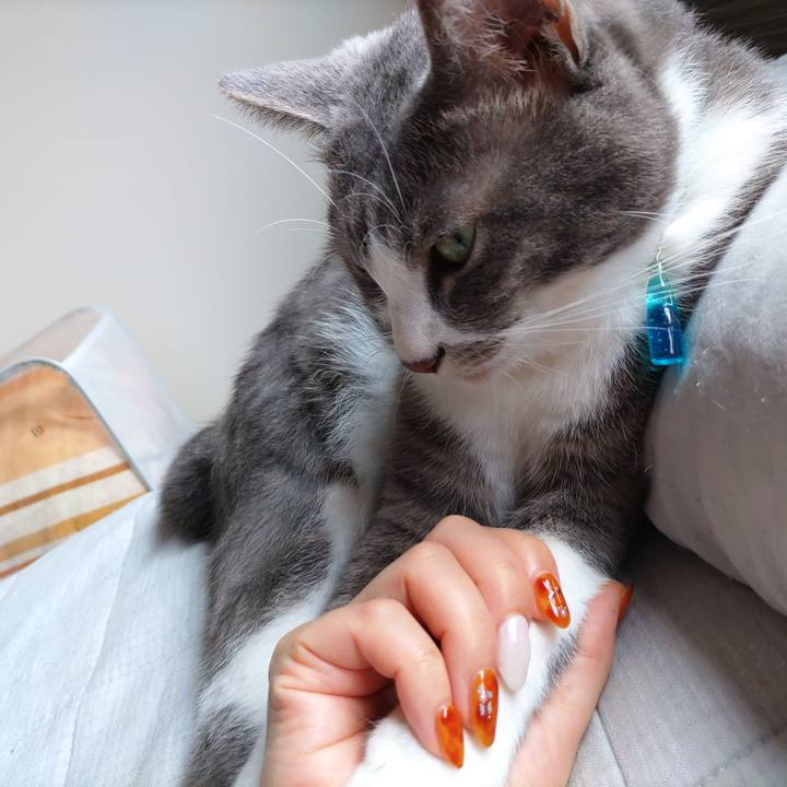 6c80f3ef 5c56 4a09 b1a0 527bec3d224b 1662174801866