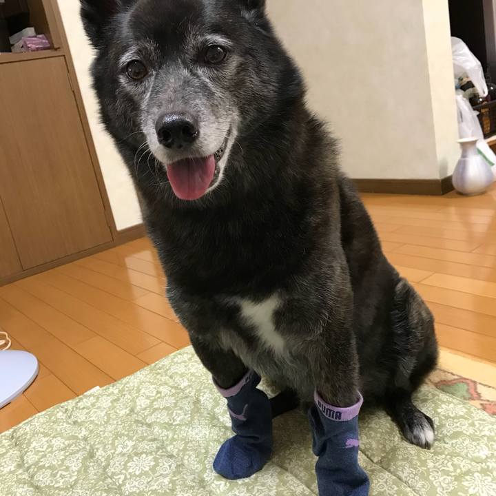 6c8109fc 964d 450b 803a cf3816ea442b 1537797839261