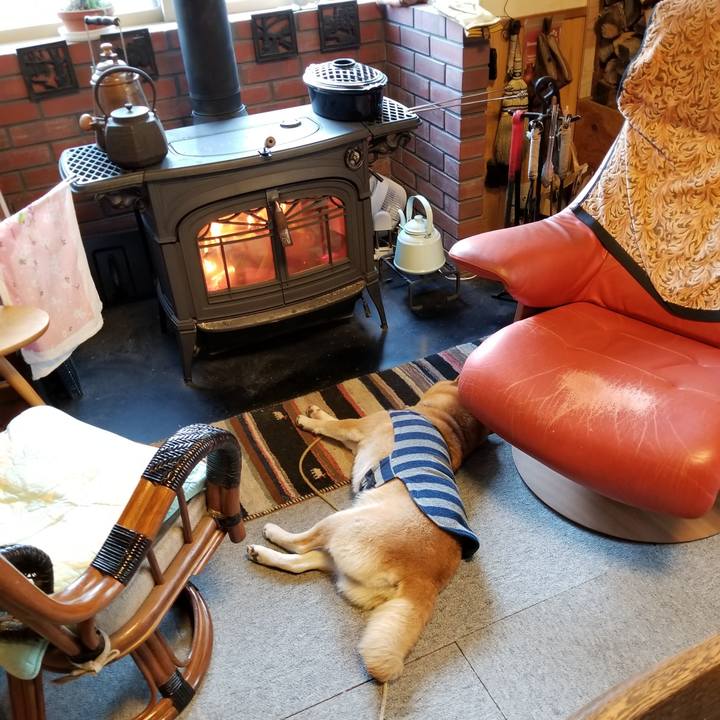 6c814ed1 aa8a 4a62 8f5f 5e63f4e7c96f 1576280440220