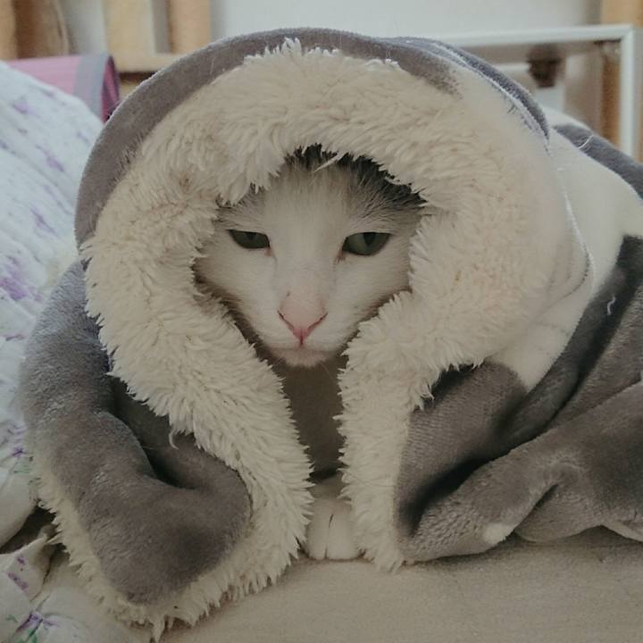 6c815187 3427 458e 977d 840539e618dd 1520689925866