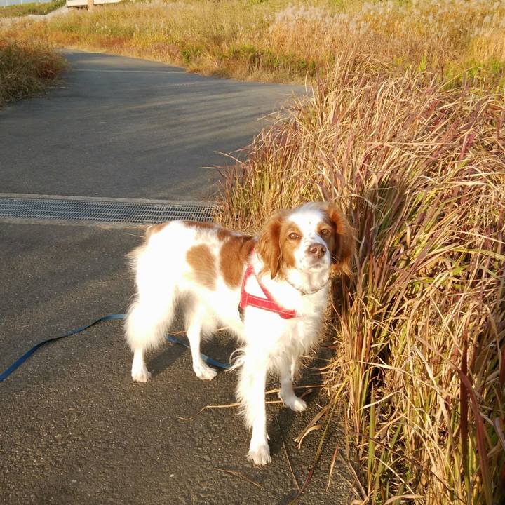 6c81563f 3948 4f47 aaed 8c85f49ba9c5 1542799614709